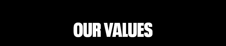 our_values