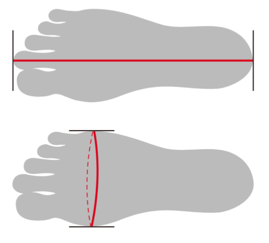 正しい足の測り方